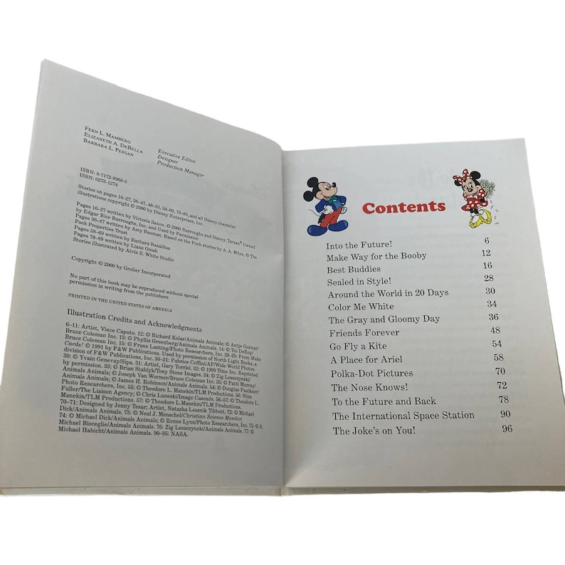 Disney's Millennium Year Book 2000 - Etsy