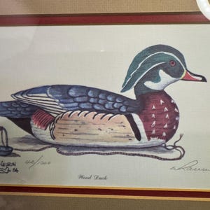 May include: Framed print of a Wood Duck, featuring a detailed illustration of the bird in profile. The duck has a distinctive green and white head, blue wings, and a reddish-brown chest. Signed by the artist, with the edition number 42/1000.