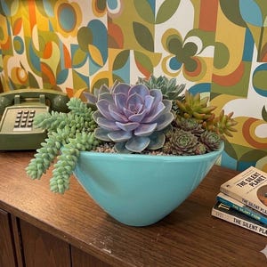 May include: A turquoise ceramic bowl filled with a variety of succulents, including a large central purple echeveria, trailing light green sedum, and smaller green rosettes, arranged in a cluster with small pebbles covering the soil surface.