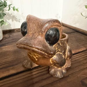 May include: A brown ceramic frog planter with large, black eyes. The frog has a textured surface and a small opening on its back for plants. The planter is sitting on a wooden surface.