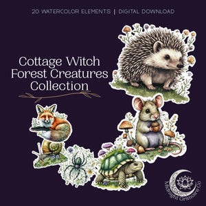 May include: A digital collection of 20 watercolor elements titled Cottage Witch Forest Creatures Collection, featuring illustrations of a hedgehog, a fox, a snail, a spider on a web, a mouse holding an acorn, and a turtle surrounded by mushrooms.