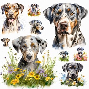 Aquarel catahoula luipaard png - hond volwassene en puppy png - hond png ontwerp, digitale huisdier clipart, hond en bloemen