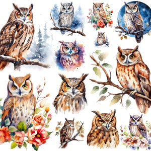 Aquarelle hibou png, clipart hibou mignon, png céleste, harfang des neiges, hibou fleuri, png animal des bois, portrait de hibou