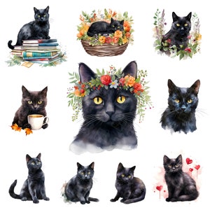Acquerello gatto nero clipart 18 jpg - gatti neri e fiori di gattino, libri, download digitale di clipart tazza - creazione di carte, clipart scrapbook