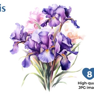 Watercolor Iris Clipart, 8 High Quality JPGs, Iris Wall Art, Card Making, Digital Paper Craft