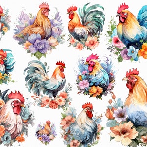 13 Acuarela Floral Pollo Png. Sublimación De Animales De Granja Png. Descarga instantánea de álbumes de recortes. Descarga digital.