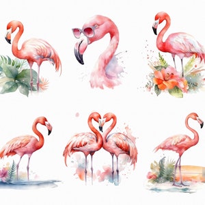 24 Watercolor flamingo clipart - funny summer clipart scrapbooking, journaling, decoupage in jpg format for commercial use
