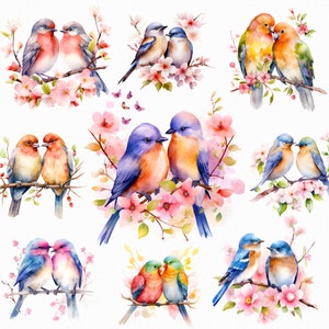 Acuarela pareja pájaros floral png - San Valentín png, imágenes prediseñadas de boda, imágenes prediseñadas de aves, imágenes prediseñadas de retrato de pareja, imágenes prediseñadas florales