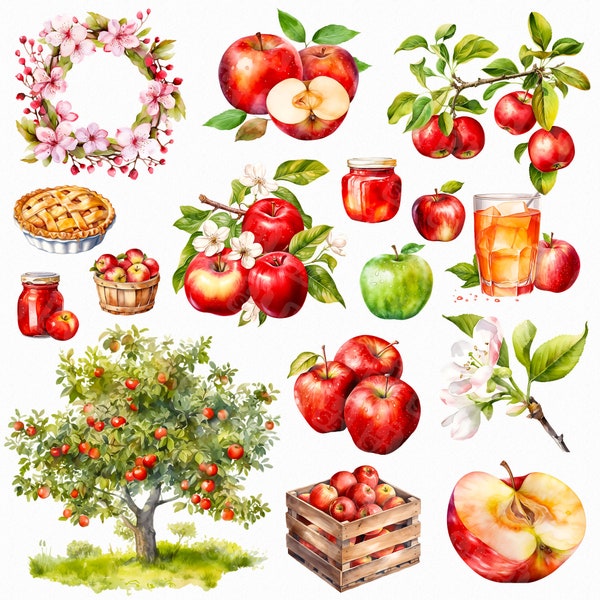 Watercolor apple garden png - apple clipart, apple invitation, apple orchard, apple harvest, apple graphics