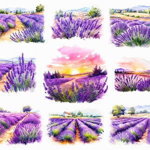 Watercolor lavender field png - lavender clipart, provence clipart, lavender download, lavender png, lavender farm, purple, lilac