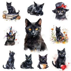 Aquarell schwarze Katze Clipart 19 jpg - schwarze Katzen & Kätzchen Blumen, Bücher, Tasse Clipart digitaler download - Kartenherstellung, scrapbook Clipart