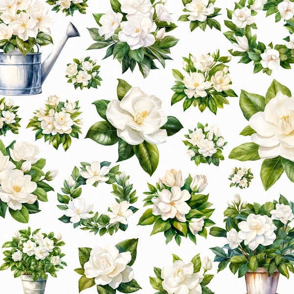 Watercolor gardenia png - white flower clipart, gardenia flower png, spring wedding, white bouquet, white wreath png