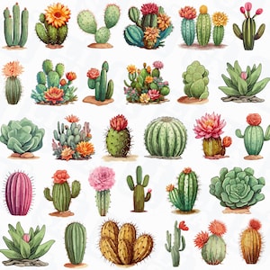 30 Cactus De Acuarela Png. Clipart suculento de acuarela. Sublimación Cactus Png. Descarga instantánea de álbumes de recortes. Descarga digital.