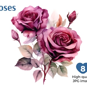 Acquerello Borgogna Rose Clipart, 8 JPG di alta qualità, Bordeaux Rose Download, Creazione di carte, Mestiere di carta digitale