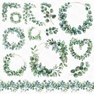 58 Aquarell Eukalyptus Clipart, Aquarell Greenery Clipart, Eukalyptus PNG, grüne Blätter, Eukalyptusrand Kranz, Hochzeit Clipart