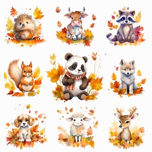 Aquarelle automne animaux png - chat, chien, renard, écureuil, cheval, raccon - téléchargement numérique - scrapbooking, infirmière, sublimation, fabrication de cartes