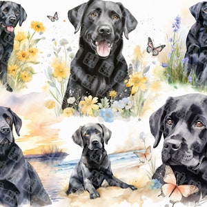42 Watercolor black labrador - cute black labs dog bundle clipart graphics in jpg format for commercial use