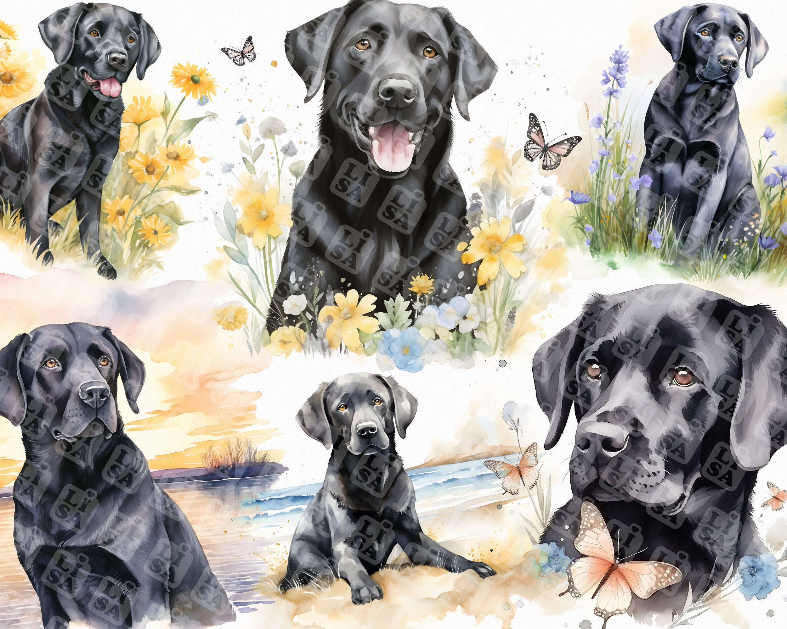 42 Watercolor black labrador - cute black labs dog bundle clipart graphics in jpg format for commercial use