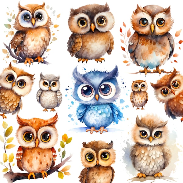 Aquarelle hibou mignon png, clipart hibou, png animal des bois, téléchargement numérique