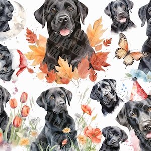23 Watercolor black labrador - cute black labs dog bundle clipart graphics in png format for commercial use