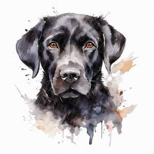 Niedlicher schwarzer Labrador png - Portrait Labrador Retriever - Sublimationsdesigns, digitaler download, printable Art, Shirt Designs