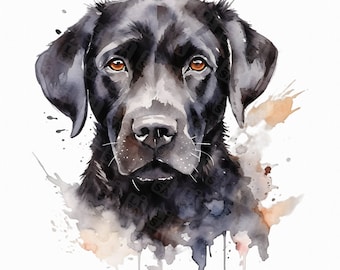 Cute black labrador png - portrait labrador retriever - sublimation designs, digital download, printable art, shirt designs