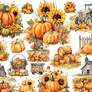 23 Aquarelle Citrouille Récolte Png. Automne Ferme Tournesols Citrouille Clipart. Aquarelle numérique Png.