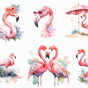 41 Watercolor flamingo png craft making clipart - tropical birds images with transparent background for commercial use, jungle clip art