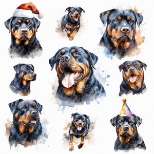 Watercolor rottweiler png - rottweiler clip art, realistic dog, dog clipart - digital download