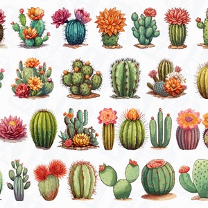 30 Cactus De Acuarela Png. Clipart suculento de acuarela. Sublimación Cactus Png. Descarga instantánea de álbumes de recortes. Descarga digital.
