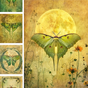 39 Luna Motten digitales Papier, 21 x 11 Zoll, A4 Papier zum sofort herunterladen, Junk Journal Seiten, Junk Journal, 8.5x11 inch