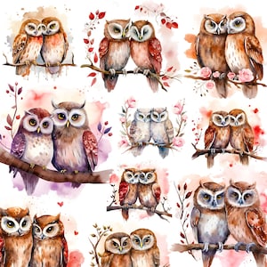 Acuarela pareja búho png, imágenes prediseñadas de búho, pareja de animales, día de San Valentín png, imágenes prediseñadas de amor, imágenes prediseñadas de San Valentín