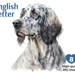 Watercolor English Setter Clipart, 8 High Quality JPGs, English Setter Wall Art, Card Making, Digital Paper Craft
