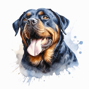 Watercolor rottweiler clipart - dog watercolor, rottweiler gifts, rottweiler design, dog portrait - card making, invitation, scrapbooking