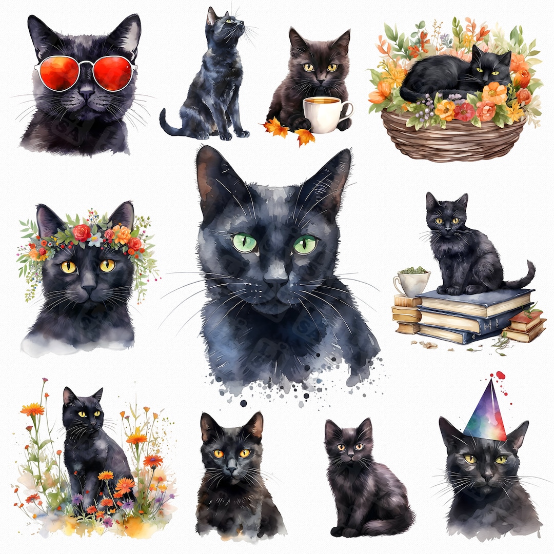 Watercolor Black Cat Png Cute Black Cats and Flowers, Books, Cup