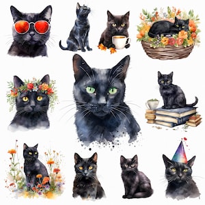 Aquarelle chat noir png - mignons chats noirs et fleurs, livres, tasse, chapeau d'anniversaire, panier, chat assis, portrait clipart - téléchargement numérique