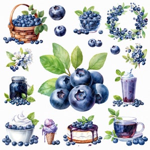Aquarell Blaubeere png - Beere png, Blaubeerbild, Blaubeer Clipart, blaue Frucht
