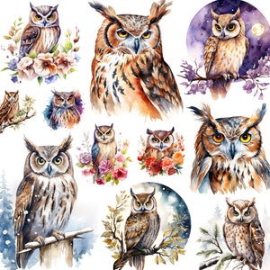 Aquarelle hibou png, clipart hibou mignon, png céleste, harfang des neiges, hibou fleuri, png animal des bois, portrait de hibou