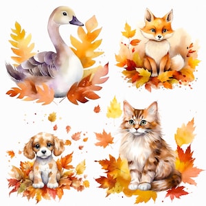 Aquarelle automne animaux png - chat, chien, renard, écureuil, cheval, raccon - téléchargement numérique - scrapbooking, infirmière, sublimation, fabrication de cartes
