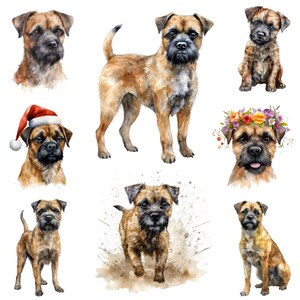 Imagens de aquarela border terrier 27 jpg - download digital de arte de cachorro terrier - criação de cartões, convite, clipart de scrapbook