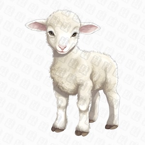 Sweet Sheep Clipart - Baby Lamb PNG Clipart perfect for Farm Themed Crafts and Newborn Sublimation Design