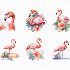 41 Watercolor Flamingo Png Craft Making Clipart - Tropical Birds Images ...