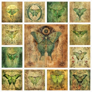 49 Luna Motten digitales Papier zum sofort herunterladen, zum selbst ausdrucken, quadratische Seiten, 10x10 inch,