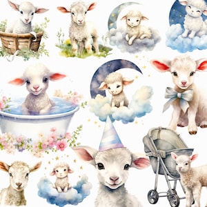 Niedliches Lamm PNG Clipart Set - Perfekt für Lamm Kinderzimmer oder Geburtstagseinladungen - Bauernhof Ideal für erste Geburtstage