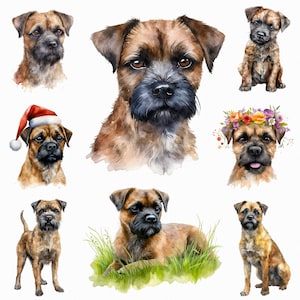 Aquarelle border terrier png - clipart chien mignon - téléchargement numérique - art mural, scrapbooking, planificateur, sublimation, fabrication de cartes