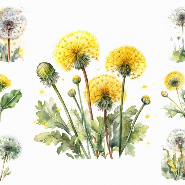 37 Watercolor dandelion print - spring wildflowers images scrapbooking, journaling, decoupage in jpg format for commercial use