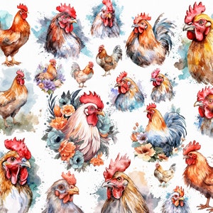 40 Acuarela Pollo Png. Sublimación De Animales De Granja Png. Descarga instantánea de álbumes de recortes. Descarga digital.