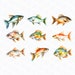 Watercolor Freshwater Fish Png Fishing Png Fish - Etsy
