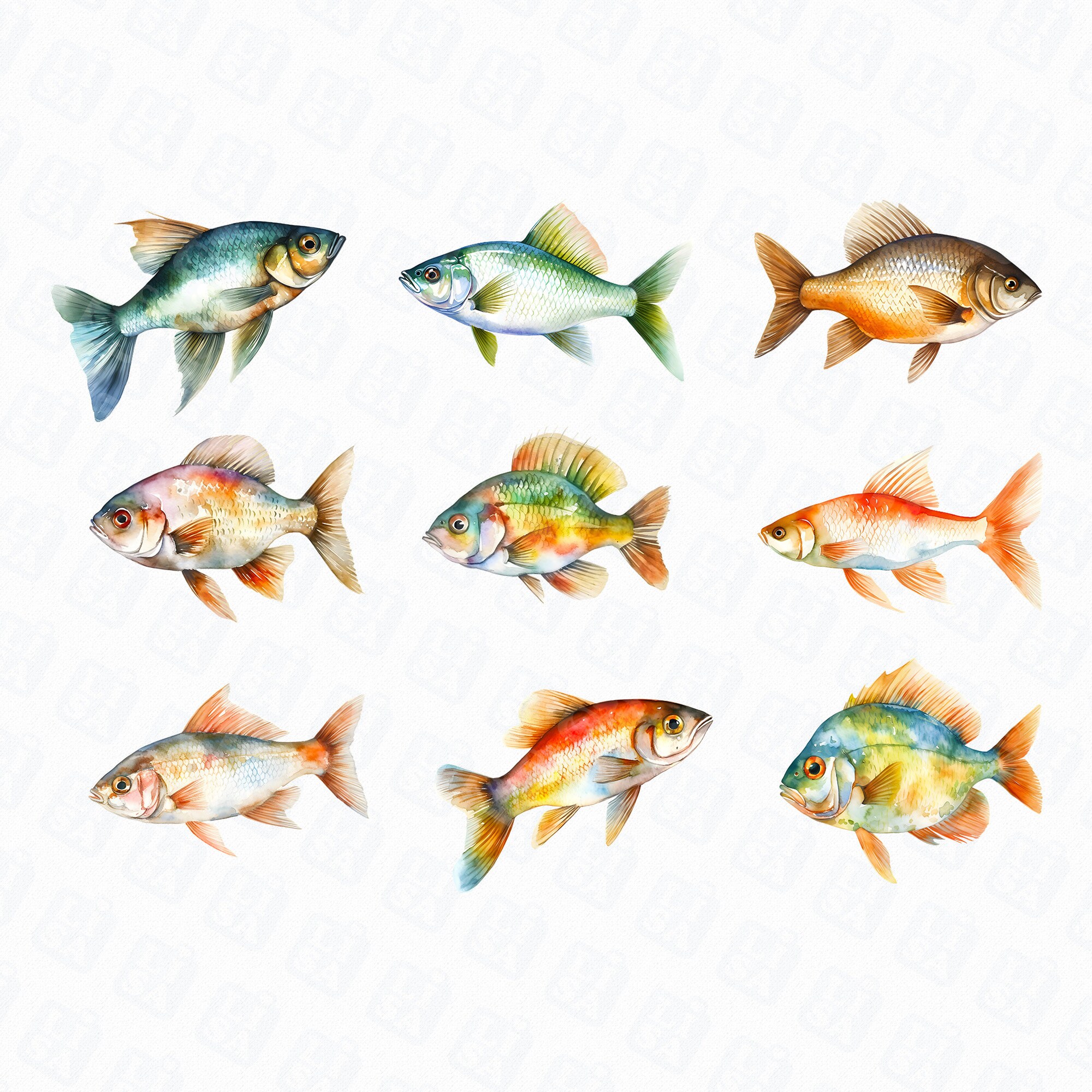 Watercolor Freshwater Fish Png Fishing Png Fish - Etsy