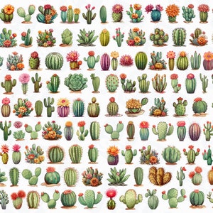 134 Cactus Acuarela Png. Imágenes prediseñadas suculentas de acuarela. Sublimación Cactus Png. Descarga instantánea de álbumes de recortes. Descarga digital.